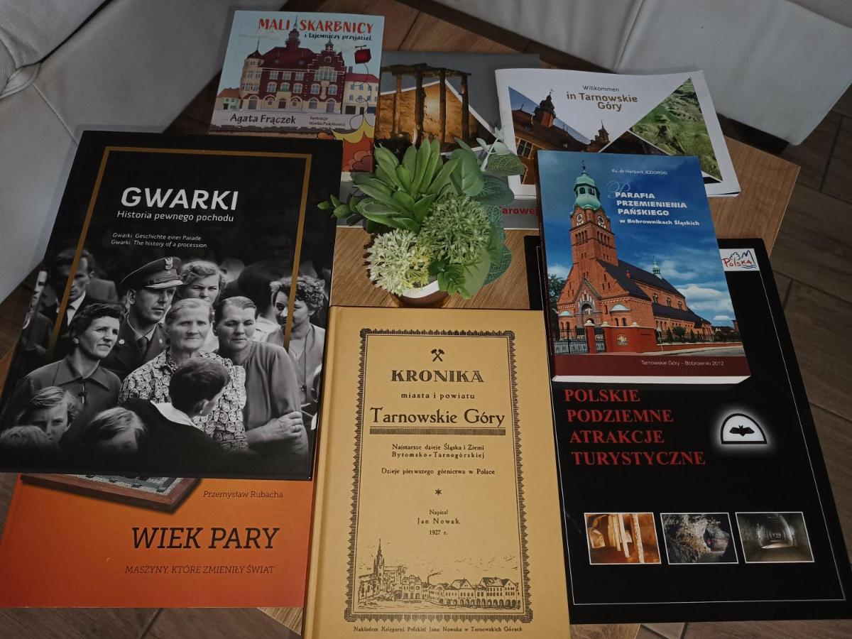 Apartament Przy Kopalni Srebra Tarnowskie Gory Luaran gambar