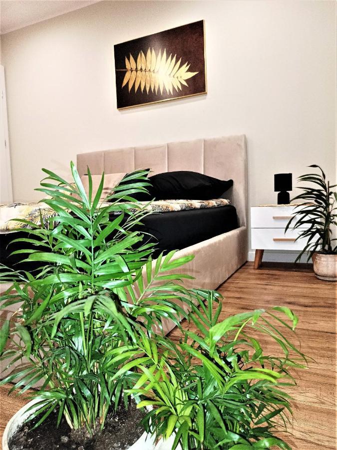 Apartament Przy Kopalni Srebra Tarnowskie Gory Luaran gambar